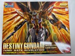 [미개봉] MG 1/100 하이네 전용 데스티니 건담 (건프라 EXPO 한정) 기동전사 건담 SEED DESTINY