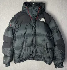 M/95 THE NORTH FACE ザノースフェイス サミットシリーズ 700 ウィンドストッパー グースダウン ダウン