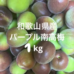 和歌山県産 パープル南高梅 1kgのサムネイル