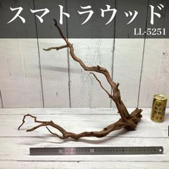 MSRW-7358 天然流木レイアウトセット　90cm水槽用　スリムウッド　流木 MSRW-7358 天然流木レイアウトセット 90cm水槽用 スリムウッド 流木