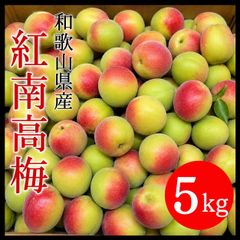 和歌山 紅 南高梅 完熟 クール便 2kg - メルカリ