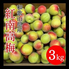 和歌山 小粒 完熟 紅 南高梅 3kg クール便 - メルカリ