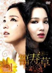 2512-1356 DVD 福寿草 全36巻 レンタル版 2512-1356 DVD 福寿草 全36巻 レンタル版 - メルカリ