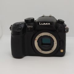 ジャンク】 Panasonic DC-GH5 LUMIX ミラーレス一眼レフ - メルカリ