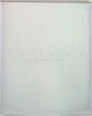 애니메이션 Blu-ray 안노 히데아키 에반게리온 신극장판:서 YOU ARE (NOT) ALONE 서(1.11)