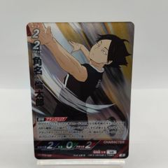 ワンピース トレジャーワールド Vジャンプ付録 ポートガス・ D・エース