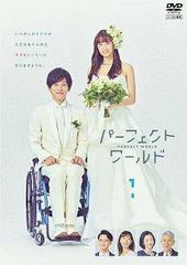 最終値下げ】パーフェクトワールド Blu−ray BOX 松坂桃李 松村北斗