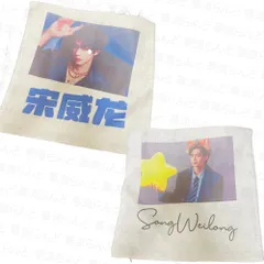 宋威龍 クッションカバー 005 ソン・ウェイロン 宋威龙 ソンウェイロン Songweilong