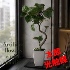 光触媒 人工観葉植物 ウォールグリーン フェイクグリーン ガジュマル40