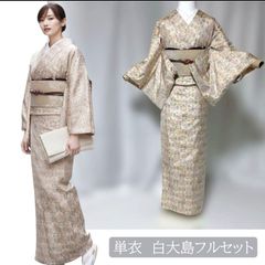 G 夏物 美品 大島紬 夏大島 風景模様 藍染 絽 紗 薄物 正絹 小紋 着物