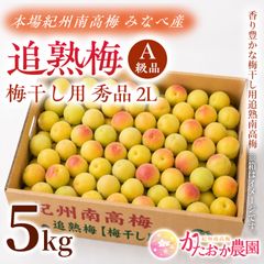 追熟梅】紀州南高梅 秀品A級 2L 5kg クール便 - メルカリ