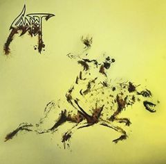 HAnin Elias ／イン・フレームス 12インチレコード - メルカリ