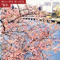 即購入可 サニーデイ・サービス 愛と笑いの夜 LP 一部状態難 2015年盤
