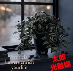 光触媒 人工観葉植物 ウォールグリーン フェイクグリーン オーガスタ