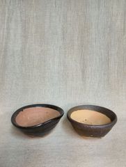 Y*a様 山野草、ラン科植物、着生植物 [ムギラン] 焼き板着け - メルカリ