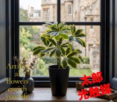 光触媒 人工観葉植物 ウォールグリーン フェイクグリーン オーガスタ