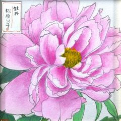 平松 譲「百合」水彩 色紙 芸術院会員 内閣総理大臣賞受賞 共シール付