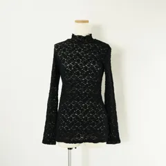 AMERI アメリ LACE COLORFUL CUT TOP レース カラフル カットトップス カットソー ハイネック シアー 長袖 黒のサムネイル