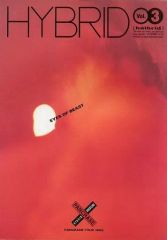 [Used] Pamphlet ≪Pamphlet (Martial Arts)≫ Pamphlet) HYBRID Vol.3 EYES OF BEAST PANCRASE TOUR 1995