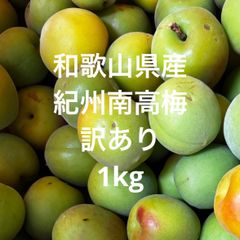 和歌山県産 紀州南高梅 訳あり 3L4Lサイズ 1kg - メルカリ