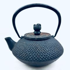 ポケモン 岩鋳 急須 イシツブテ 南部鉄器 IWACHU - メルカリ