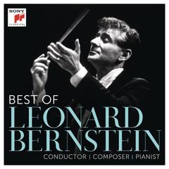 Leonard Bernstein DVD BOX 美品！ - メルカリ
