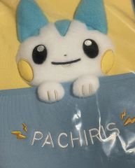 ☆期間限定☆ 韓国 ポケモン ポップアップ メタモン ポーチ