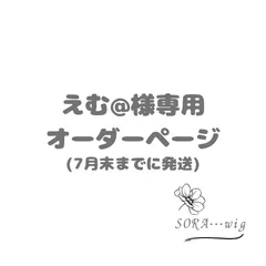 えむ@様専用　オーダーページ　2台分