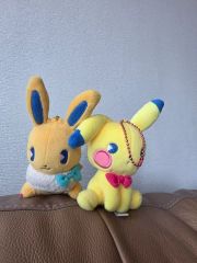 サイコソーダ✨ イーブイ ピカチュウ ポケモンセンター ぬいぐるみ