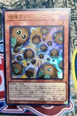 H704 遊戯王デュエルモンスターズ 増殖するクリボー! LOCH-JP002 