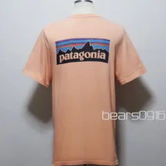 【パタゴニア】Tシャツ メンズ L サーモンピンク Ｐ-６ロゴ 公式 オーガニックコットン100% フィッツロイ 2017年製 WORNWEAR バックプリント USED品 半袖 アメリカ購入