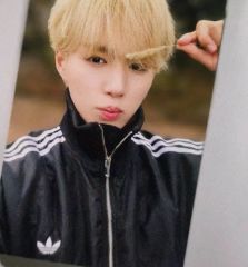 Felix フィリックス アディダス 特典 ブックレット フォトブック韓国