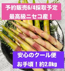 天然ネマガリダケ3㎏／姫竹／天然山菜／タケノコ - メルカリ