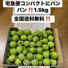 日本クレア CMS-1M 10kg モンキーフード、モモンガフード - メルカリ