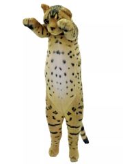 [중고] 봉제인형 벵골 타치치 Zoo 냥코 8 봉제인형 [타치지 Zoo]