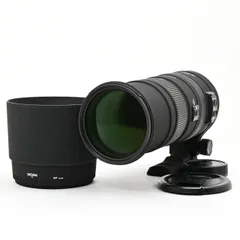 2026年最新】APO 150-500mm F5-6.3 DG OS HSM ニコンの人気アイテム