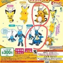 30th マグネット リオル ルカリオ 中国ポケモンセンター限定 2点