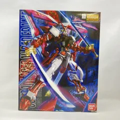 2026年最新】MG 機動戦士ガンダムSEED ASTRAY ガンダムアストレイ