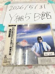 浜田省吾 旧規格盤「PROMISED LAND〜約束の地」 35DH24 - メルカリ