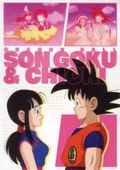 [중고] 클리어 포스터 클리어 포스터 손오공 & 치치 [이치 반 쿠지 드래곤 볼 THE CHRONICLE OF GOKU] I상