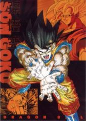 [중고] 클리어 포스터 클리어 포스터 손오공 (카메하메 파) [이치 반 쿠지 드래곤 볼 THE CHRONICLE OF GOKU] I상