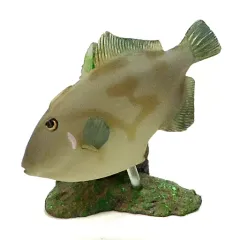 【中古】トレーディングフィギュア ウマズラハギ 「原色海水魚図鑑 II」のサムネイル
