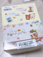 リーメント/リラックマ・季節のテラリウム/全6種コンプリートBOX/新品