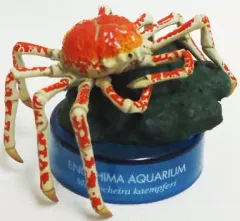 【中古】トレーディングフィギュア タカアシガニ 「新江ノ島水族館立体生物図録2」のサムネイル