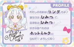 あ様専用【ハッピーダミーウェディング】メグメグ コンパス ライアリ