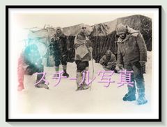 z『獣たちの熱い眠り』映画オリジナルB2判ポスター - メルカリ