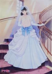 柏*瞳様 アマガミ　絢辻詞　クリアポスター　ウェディングVer 柏*瞳様 アマガミ 絢辻詞 クリアポスター ウェディングVer - メルカリ