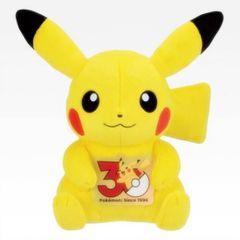一番くじ　ポケモン　ラストワン賞 ピカチュウ　30周年記念ぬいぐるみ 30周年 一番くじ ポケモン ラストワン賞 - メルカリ