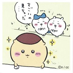中古】下敷き 日向坂46 B5下敷き(キュン) ローソン・Loppi・HMV限定 日 