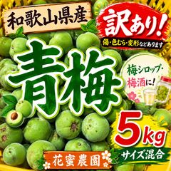 訳あり和歌山県産 青梅 5kg サイズ混合 - メルカリ